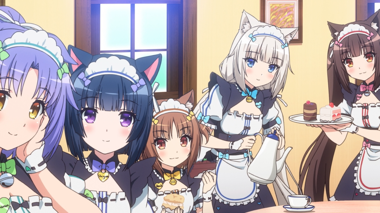 Nekopara (Yoru no Kousen)